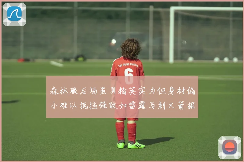 森林狼后场虽具精英实力但身材偏小难以抵挡强敌如雷霆马刺火箭掘金