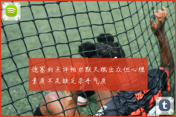 德塞利点评帕尔默天赋出众但心理素质不足缺乏杀手气质